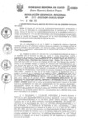 Vista preliminar de documento Resolución Gerencial de Gestión de Proyectos