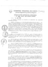 Vista preliminar de documento Resolución Gerencial de Gestión de Proyectos