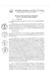Vista preliminar de documento Resolución Gerencial de Gestión de Proyectos