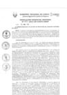Vista preliminar de documento Resolución Gerencial de Gestión de Proyectos