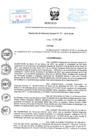 Vista preliminar de documento Resolución de Gerencia General N° 201-2017-02.00