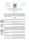 Vista preliminar de documento Resolución de Gerencia General N° 203-2017-02.00