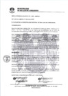 Vista preliminar de documento 0011-2021-MDSJL