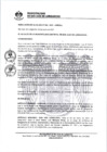 Vista preliminar de documento 0002-2021-MDSJL