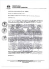 Vista preliminar de documento 0010-2021-MDSJL