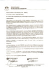 Vista preliminar de documento 0096-2021-MDSJL