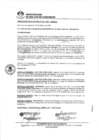Vista preliminar de documento 0133-2021-MDSJL