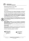 Vista preliminar de documento 0142-2021-MDSJL