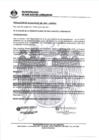 Vista preliminar de documento 0158-2021-MDSJL