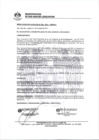 Vista preliminar de documento 0226-2021-MDSJL