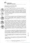 Vista preliminar de documento 0363-2021-MDSJL