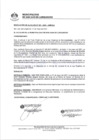 Vista preliminar de documento 0397-2021-MDSJL