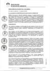 Vista preliminar de documento 0643-2021-MDSJL