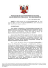 Vista preliminar de documento RES 039-2022-SUNARP-SN