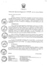 Vista preliminar de documento RER_447_2013.pdf