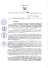 Vista preliminar de documento RORA N° 089-2022