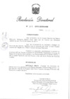 Vista preliminar de documento RD N° 317-2010.pdf