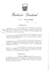 Vista preliminar de documento RD N° 319-2010.pdf