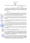 Vista preliminar de documento RGRDS N° 067-2022