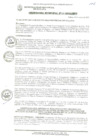 Vista preliminar de documento ORDENANZA MUNICIPAL N° 011-2022/MPS