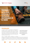 Vista preliminar de documento Boletín AT001-2022 Toxicidad y patologías (Web).pdf