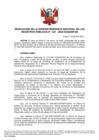Vista preliminar de documento RES 041-2022-SUNARP-SN