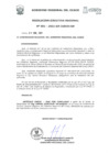 Vista preliminar de documento Resolución Ejecutiva Regional