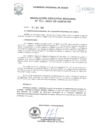 Vista preliminar de documento Resolución Ejecutiva Regional
