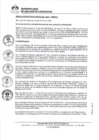 Vista preliminar de documento 0196-2022-MDSJL