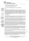 Vista preliminar de documento 0246-2022-MDSJL