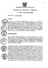 Vista preliminar de documento RER_302_2013.pdf