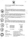 Vista preliminar de documento RER_295_2013.pdf