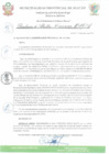 Vista preliminar de documento R.A 008.pdf