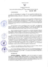 Vista preliminar de documento Resolución Ejecutiva Regional N°291-2021