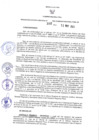 Vista preliminar de documento Resolución Ejecutiva Regional N°302-2021
