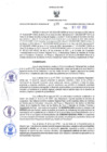 Vista preliminar de documento RER N° 175-2022