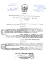 Vista preliminar de documento Resolución de Presidencia Ejecutiva N° 005-2017-02.00