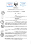 Vista preliminar de documento Resolución de Presidencia Ejecutiva N° 141-2017-02.00