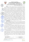Vista preliminar de documento resolucion-alcaldiaN110.pdf