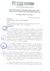 Vista preliminar de documento ORDENANZA 12-2020.pdf