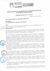 Vista preliminar de documento ORDENANZA 11-2020.pdf