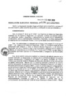 Vista preliminar de documento RER_176_2013.pdf