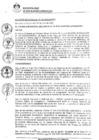 Vista preliminar de documento 0003-2020-MDSJL