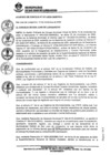 Vista preliminar de documento 0011-2020-MDSJL