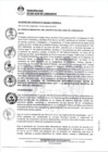 Vista preliminar de documento 0004-2021-MDSJL