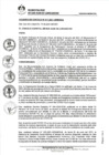 Vista preliminar de documento 0017-2021-MDSJL