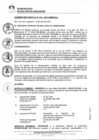 Vista preliminar de documento 0019-2021-MDSJL