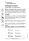 Vista preliminar de documento 0034-2021-MDSJL
