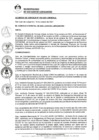 Vista preliminar de documento 0028-2021-MDSJL