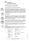 Vista preliminar de documento 0030-2021-MDSJL
